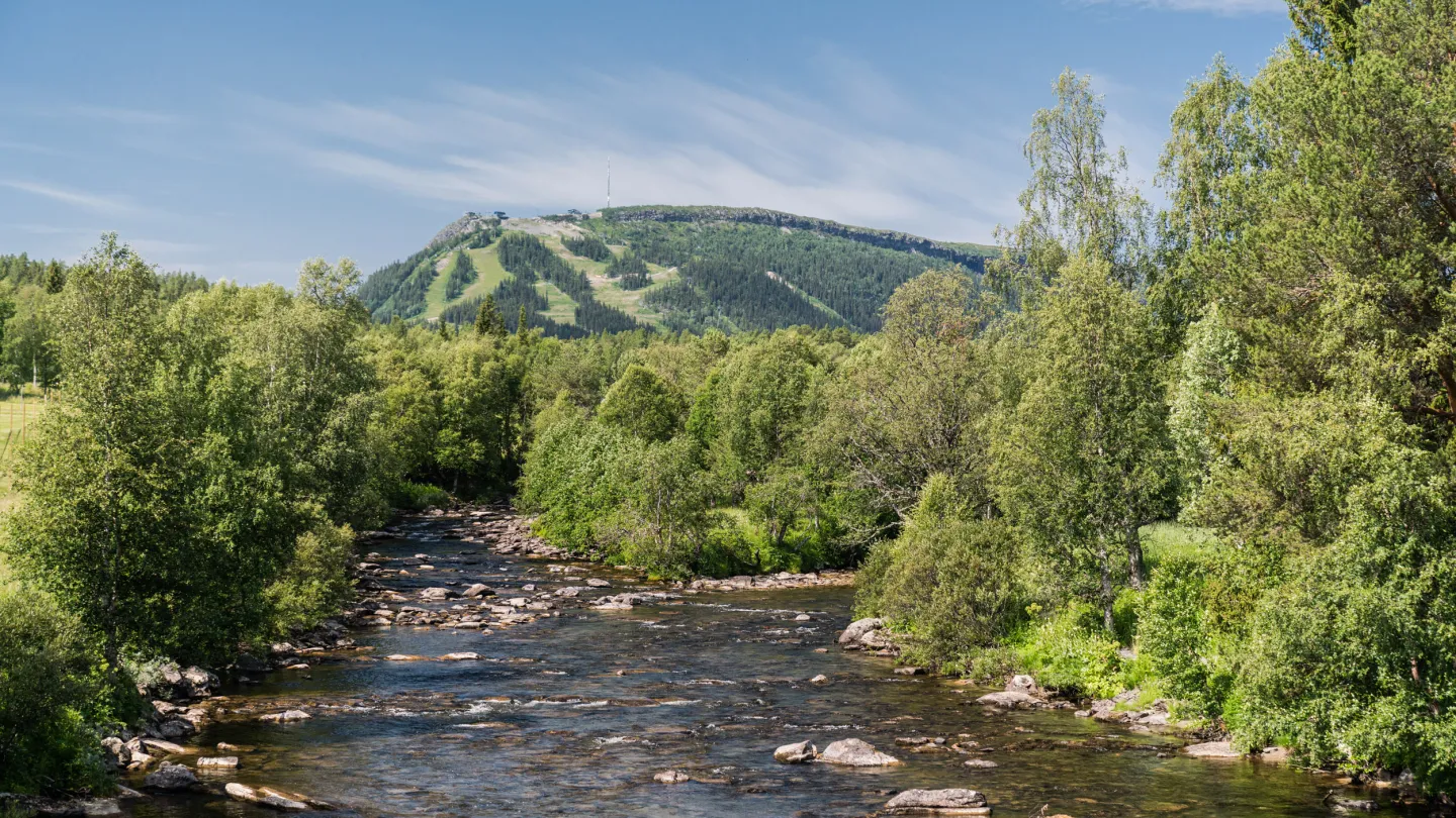 Miljöbild Ljusnan