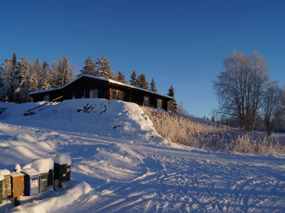 Parhus 427