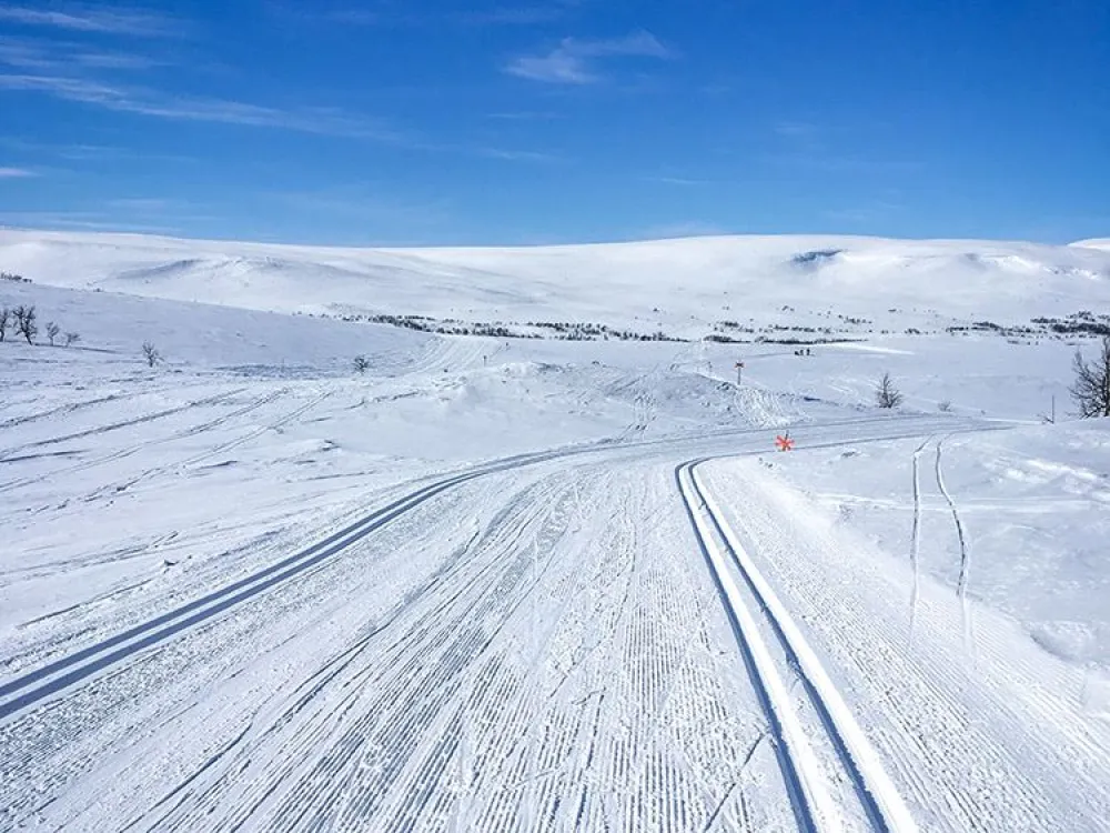 Lägenhet 901