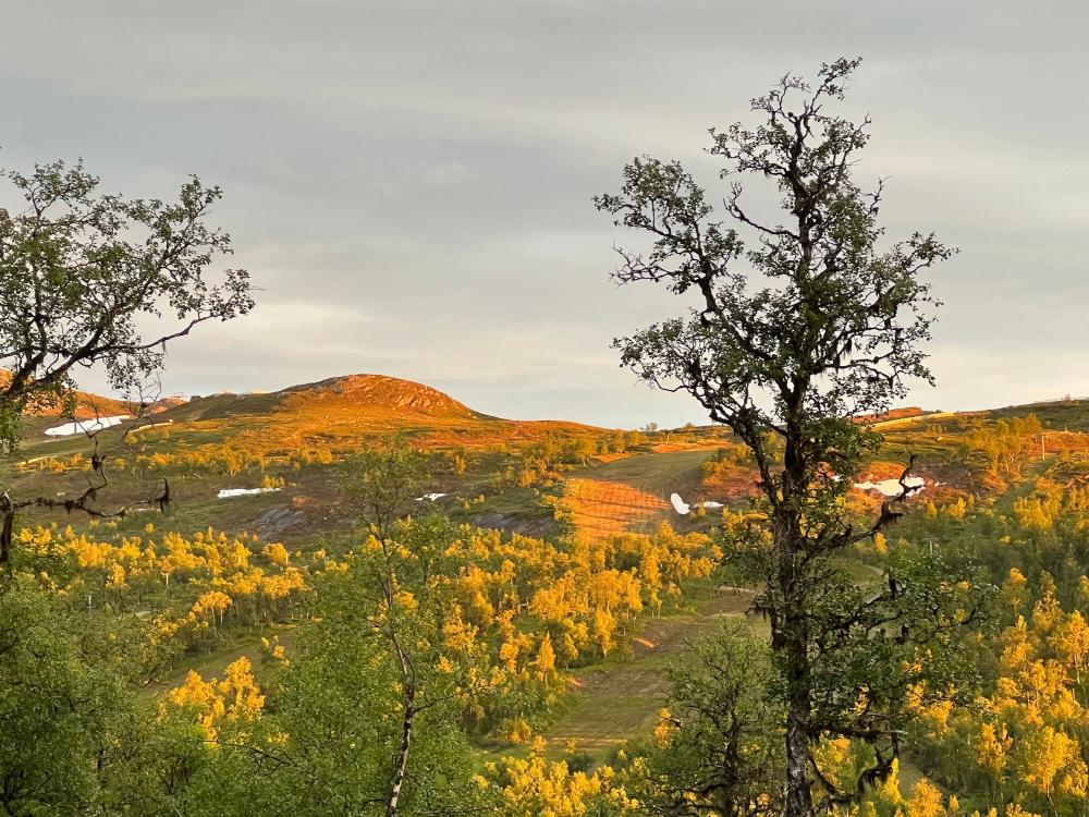 Stuga Fjällräven 8+2 bäddar, Buskvallen 